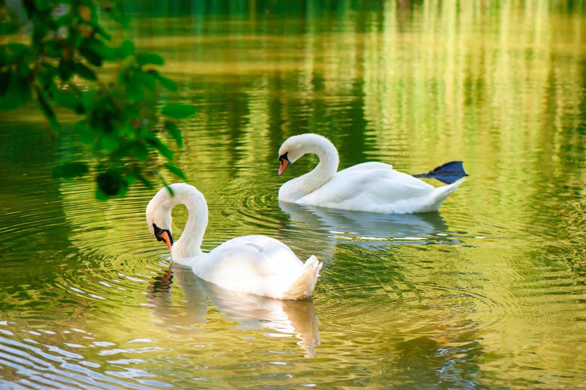 Stilvolle Ferien-Geschaeftswohnung Brandenburger Seenlandschaft Werder  Dış mekan fotoğraf